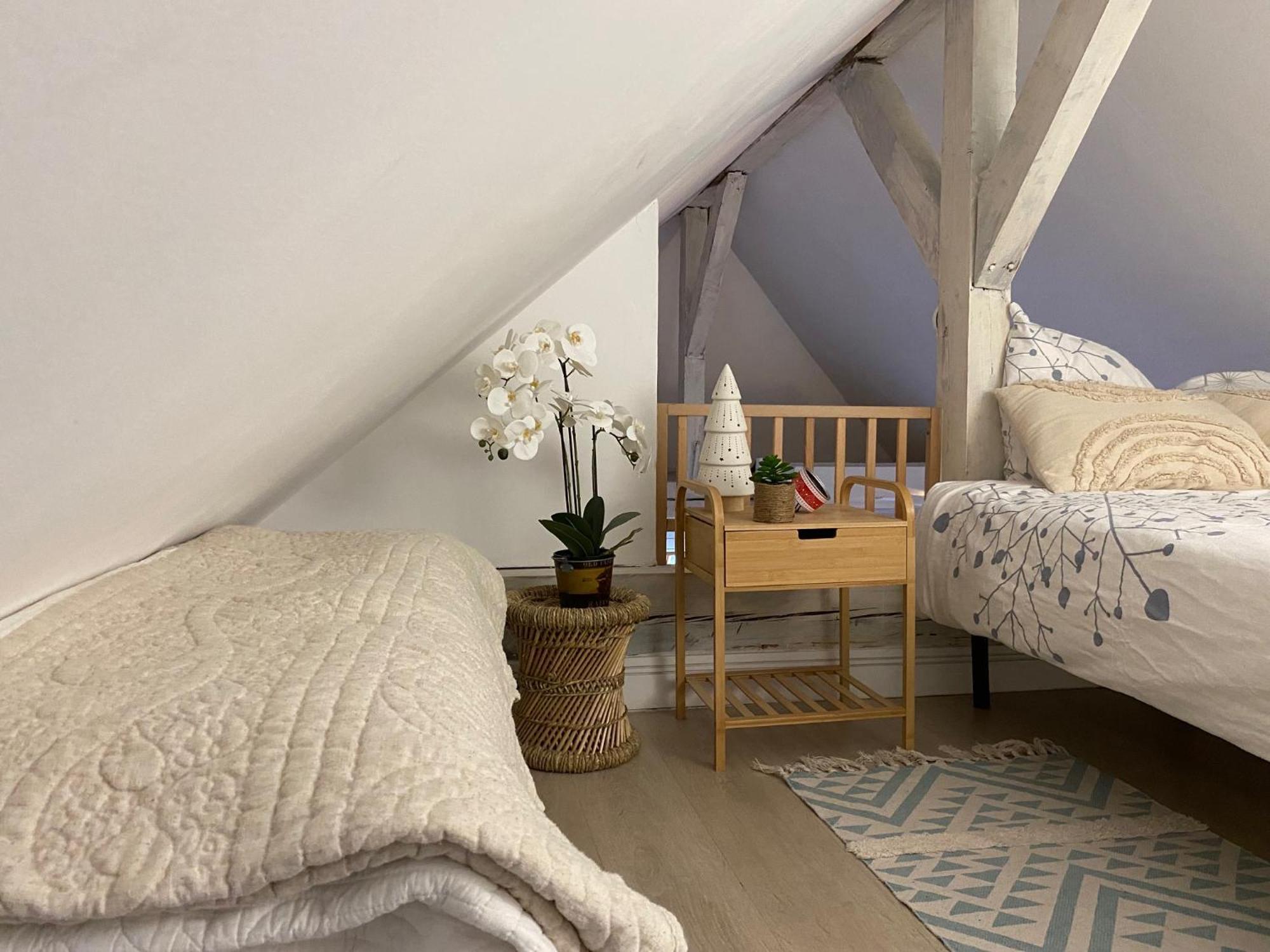 Duplex Spacieux Tout Confort Мюлуз Экстерьер фото