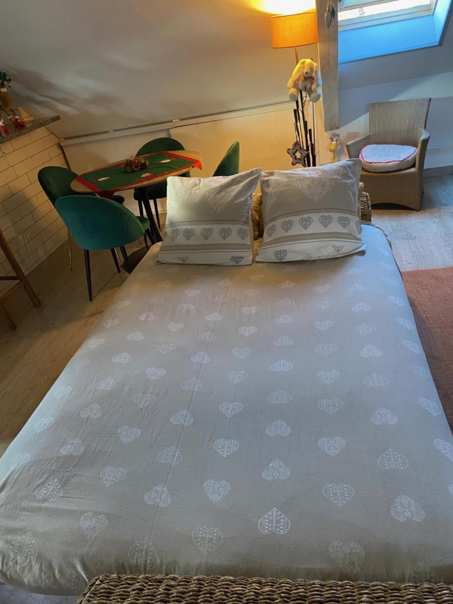 Duplex Spacieux Tout Confort Мюлуз Экстерьер фото