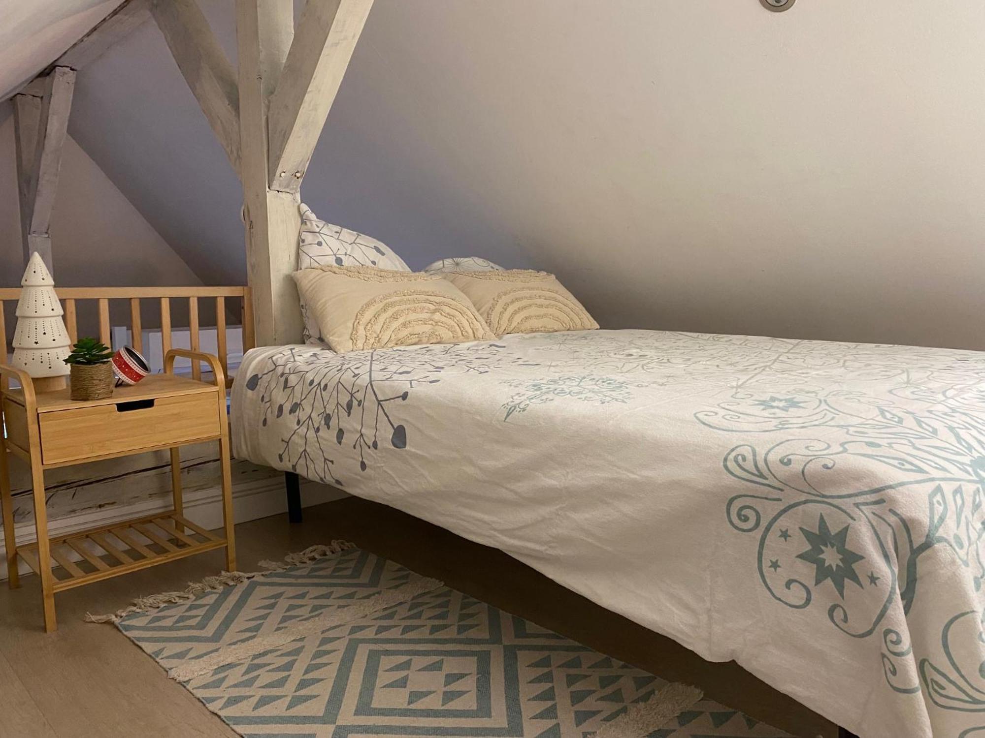 Duplex Spacieux Tout Confort Мюлуз Экстерьер фото